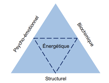 kinesiologue dans l'Eure